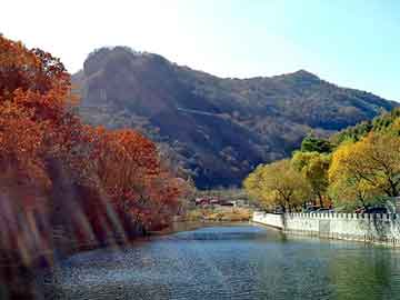 澳门天天免费精准大全，地球守护神